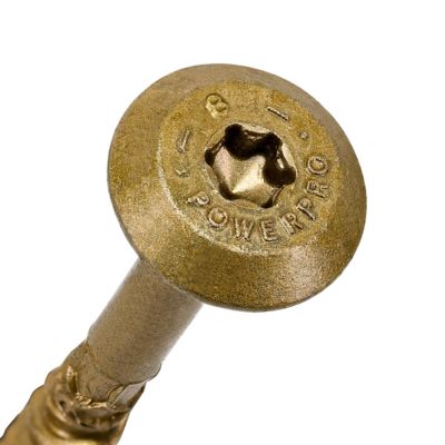 Image showing  Power Pro Bronze Star Drive Construction Lag Screws (5/16-18 x 8 in.) - 15 pc