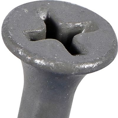 Image showing  #10 x 3-1/2 in. Fas-N-Tite Exterior Coated Wood Screws, 25 pc.