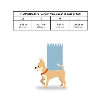 Image showing 5 th K9 Sport Sack Trainer Backpack Pet Carrier, Turquoise, X Small