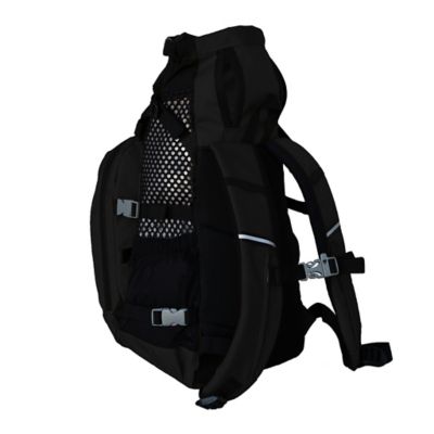 Image showing  Plus 2 Forward-Facing Backpack Pet Carrier