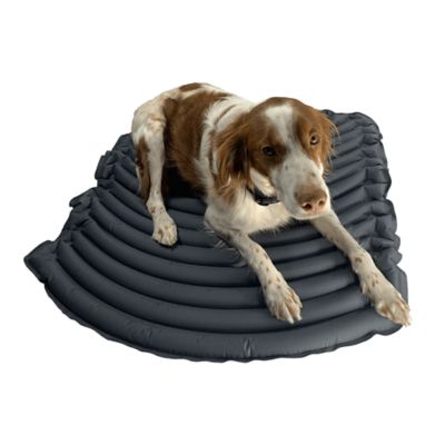 Image showing  Sleeper Blow-Up Air Mattress Pet Bed