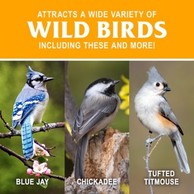 Image showing  Sunflower Hearts Wild Bird Food