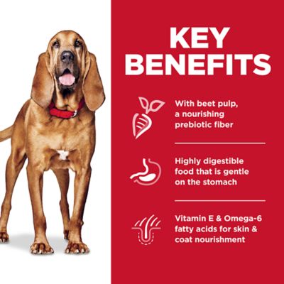 Image showing  Large Breed Adult Sensitive Stomach and Skin Chicken Recipe Dry Dog Food, 30 lb. Bag