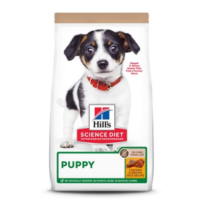 Hill's Science Diet Science Diet Puppy No Corn, Wheat or Soy Chicken Recipe Dry Dog Food