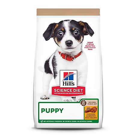 Hill's Science Diet Science Diet Puppy No Corn, Wheat or Soy Chicken Recipe Dry Dog Food