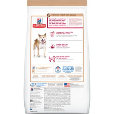 Image showing  Adult No Corn, Wheat or Soy Chicken and Brown Rice Recipe Dry Dog Food