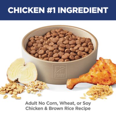 Image showing  Adult No Corn/Wheat/Soy Chicken and Brown Rice Recipe Dry Dog Food, 30 lb. Bag