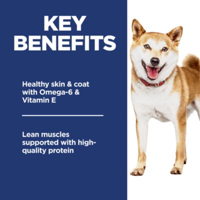 Image showing  Adult No Corn/Wheat/Soy Chicken and Brown Rice Recipe Dry Dog Food, 30 lb. Bag