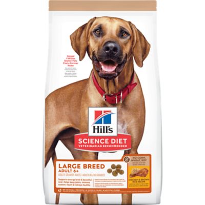 Hill's Science Diet Large Breed Adult 6+ No Corn, Wheat or Soy Chicken Recipe Dry Dog Food