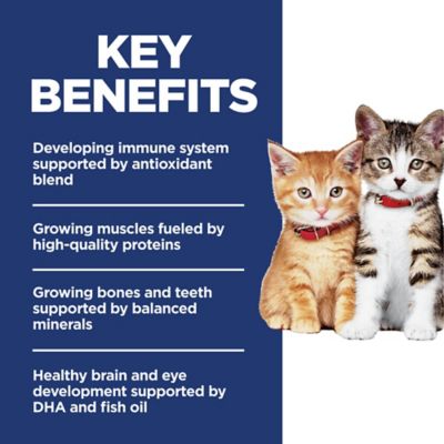 Image showing  Kitten Indoor/Outdoor No Corn, Wheat or Soy Chicken Recipe Dry Cat Food, 6 lb. Bag