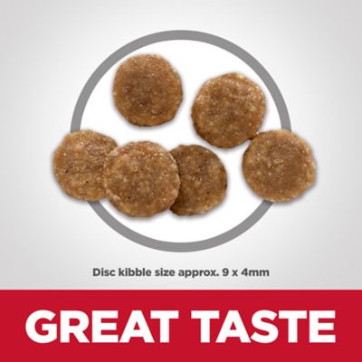 Image showing  Adult Indoor/Outdoor No Corn, Wheat or Soy Chicken Recipe Dry Cat Food