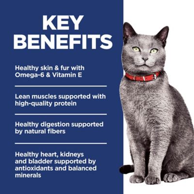 Image showing  Senior 7+ Indoor/Outdoor No Corn, Wheat or Soy Chicken and Brown Rice Recipe Dry Cat Food