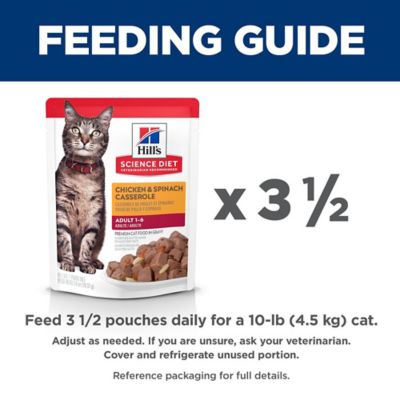 Image showing  Adult Cat Food, Chicken & Spinach Casserole, Pouch, 2.8 oz.