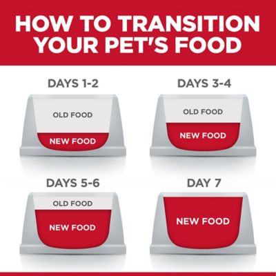 Image showing 8 th Hill's Science Diet Adult Cat Food, Chicken & Spinach Casserole, Pouch, 2.8 oz.