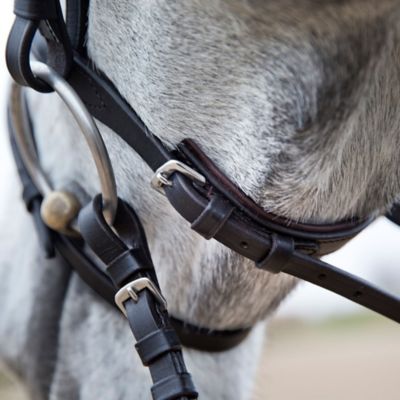 Image showing  Weston Snaffle Bridle