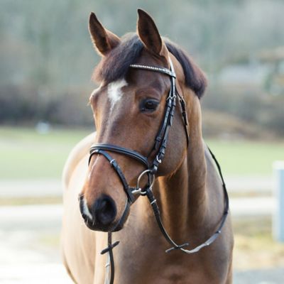 Image showing 5 th Horze Weston Snaffle Bridle