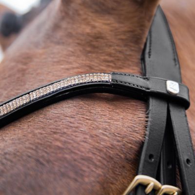 Image showing  Lester Snaffle Bridle