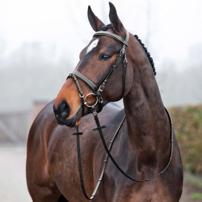 Image showing  Venice Snaffle Bridle