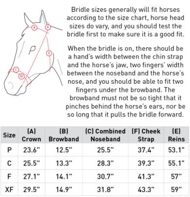 Image showing  Venice Snaffle Bridle