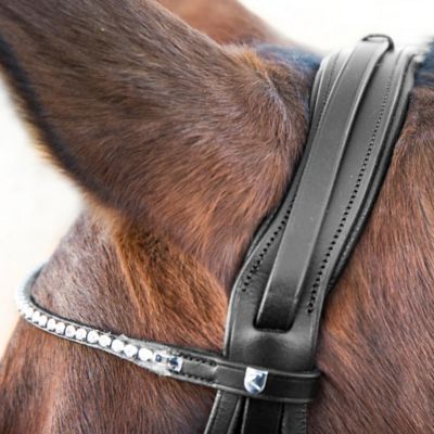 Horze Vienna Weymouth Dressage Bridle