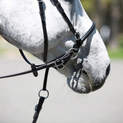 Image showing  Leather Bitless English Bridle