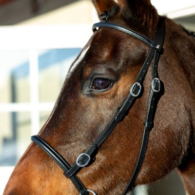 Image showing  Leather Bitless English Bridle