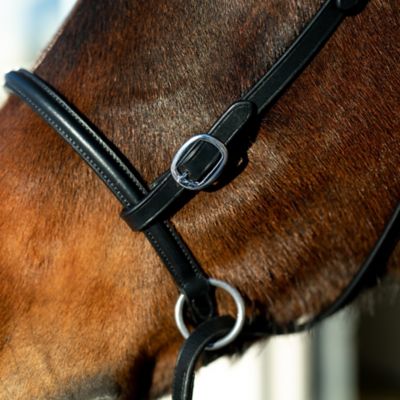 Image showing  Leather Bitless English Bridle