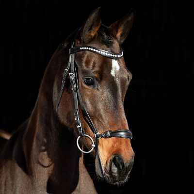 Horze Bergen Leather Remont Bridle