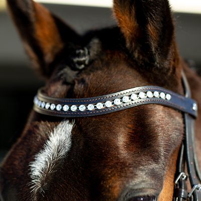 Image showing  Bergen Leather Remont Bridle