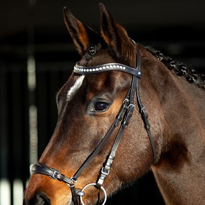 Image showing  Bergen Leather Remont Bridle