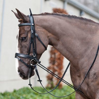 Image showing  Adjustable Horse Neck Stretcher, 10 ft. 2 in.