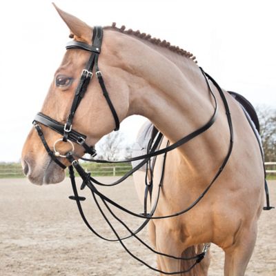 Image showing  Nylon/Leather Sparta Draw Reins
