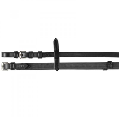 Image showing  Slender Intertwined Reins