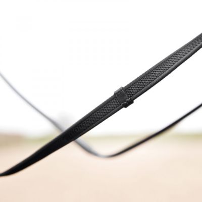 Image showing  Slender Intertwined Reins