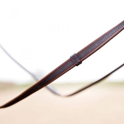 Image showing  Slender Intertwined Reins