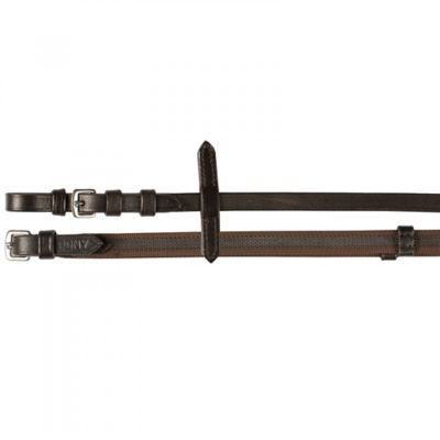 Image showing  Slender Intertwined Reins