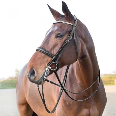 Image showing  Leather Laelia Plain Dressage Reins