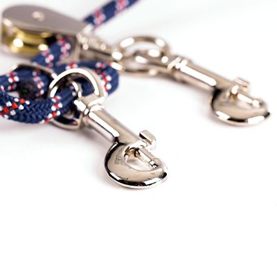 Image showing  Lunging Training Aid