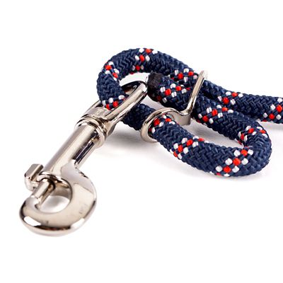 Image showing  Lunging Training Aid