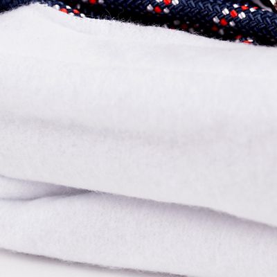 Image showing  Lunging Training Aid