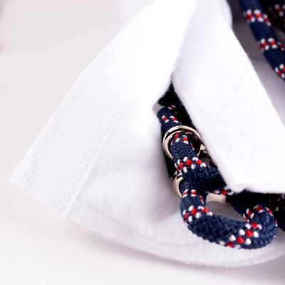 Image showing  Lunging Training Aid