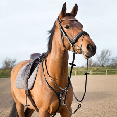 Image showing  Adjustable Hunting Breastplate, Black