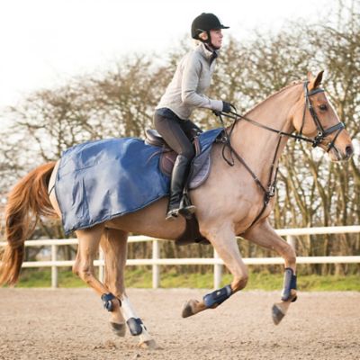Image showing  Venice Combined Leather Running Martingale/Breastplate