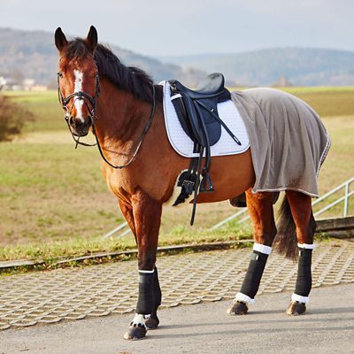 Image showing  Back Leg Horse Wraps, 1 Pair