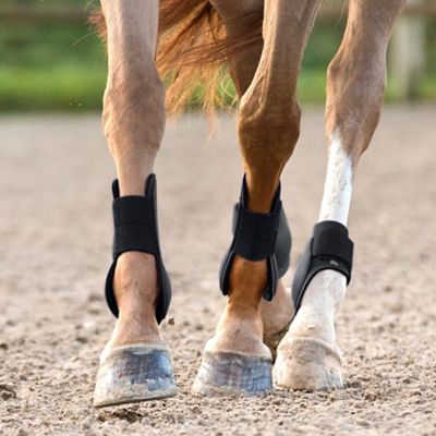 Image showing 8 th Horze Tendon Horse Boots, 1 Pair