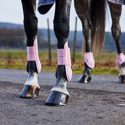 Image showing  Tendon Horse Boots, 1 Pair