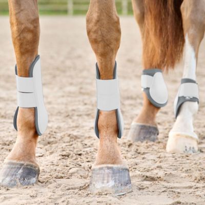 Image showing  Tendon Horse Boots, 1 Pair