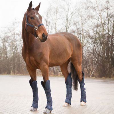 Image showing  Shipping Horse Boots, 4 ct.