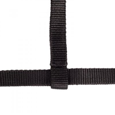 Image showing  Foal Nylon Horse Halter