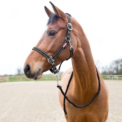 Horze Polyester Cooper Halter with 6.5 ft. Rope Lead